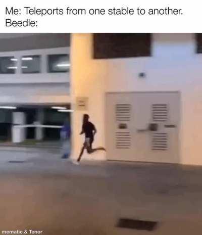 If he wasn’t to frickin OBSESSED with beetles he could go save hyrule.