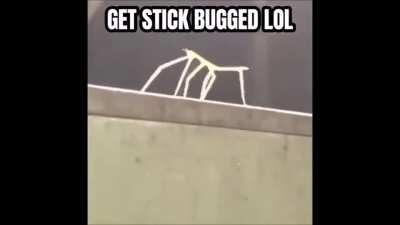 Normal SU:F intro nothing interesting keep on scrollin