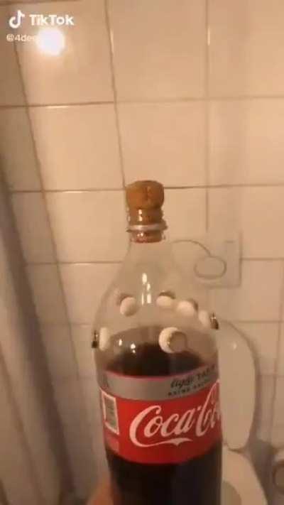 abrupt_toilet_adventure.mp4