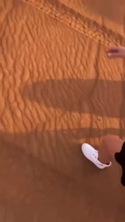 Exploring the Arabian desert with dune buggies