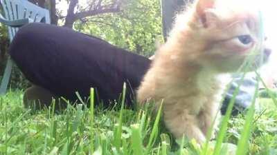 Hey squeak lovers, just wanted to say that we hit 30k members. Thank you so much! Here’s to another 30k!