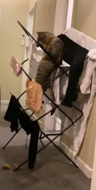 All fun and games until..