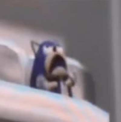 Sonic after accidentally searching for sonic x tails