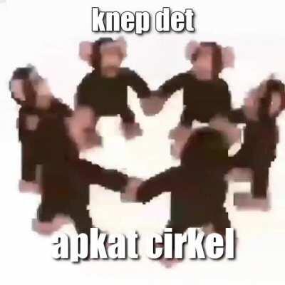 knep det bror, tid til apkat cirkel