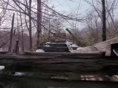 Tracks in Harwick MA