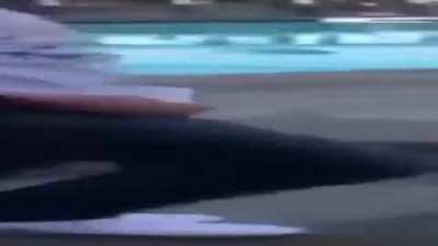 (OC) back at it again at creamy crisp