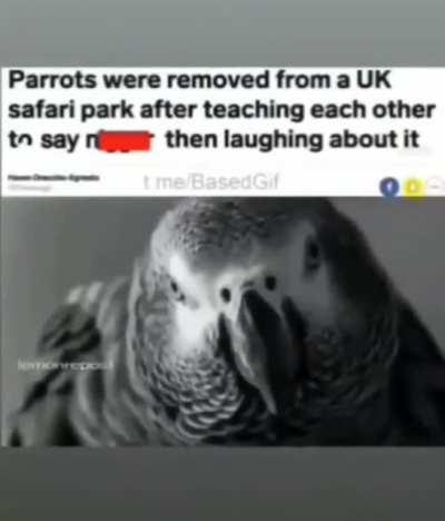 br'ish mate 🇬🇧