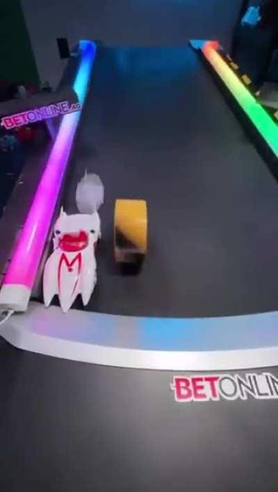 Damn, now that's a race I would want to see.