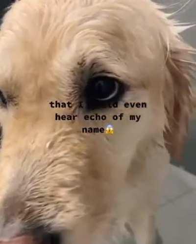 When you are guilty 😔😔