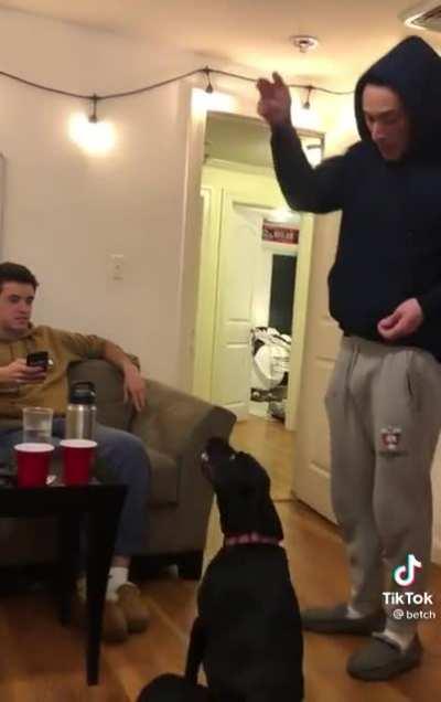 mAn fAtALly ShOots EnEmY's cHiLdHoOd dOg