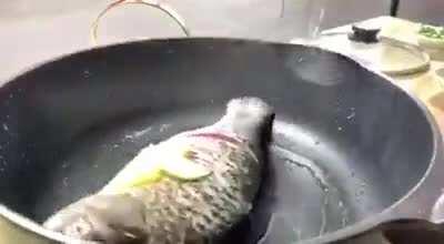 I finally found the perfect sub for this