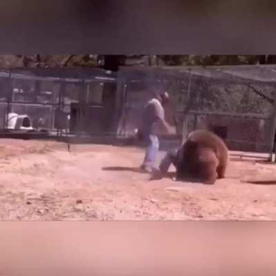 How does your favourite animal like to attack?