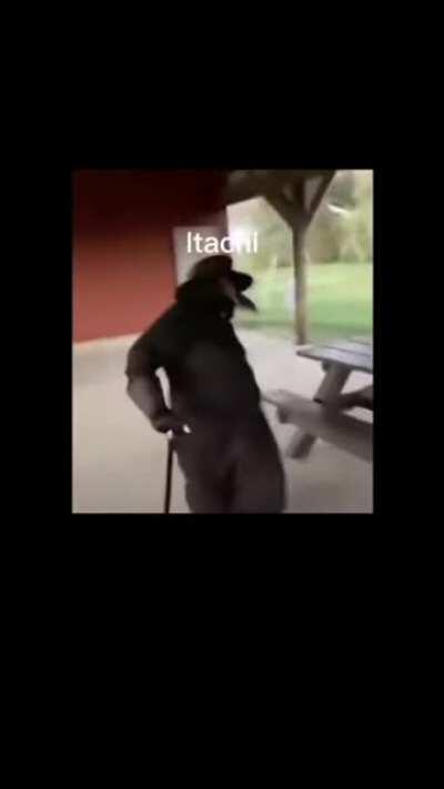 Accurate as can be: Akatsuki Assembled