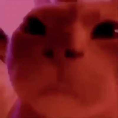 Me when I watching jojo part 4 at 3:30 AM