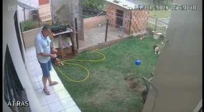 How to kill an ant colony in a 