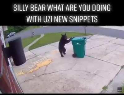 Silly Bear why would you do that 😔?