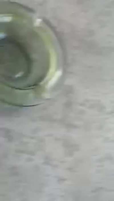 Beirut explosion today