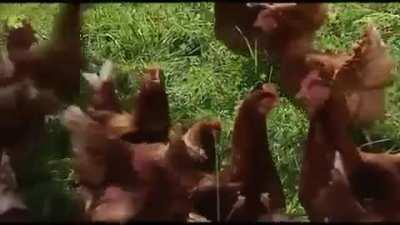 Song that motivated me to study, part 11: