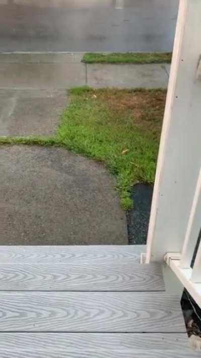 Peaceful mid-day shower Boston, MA