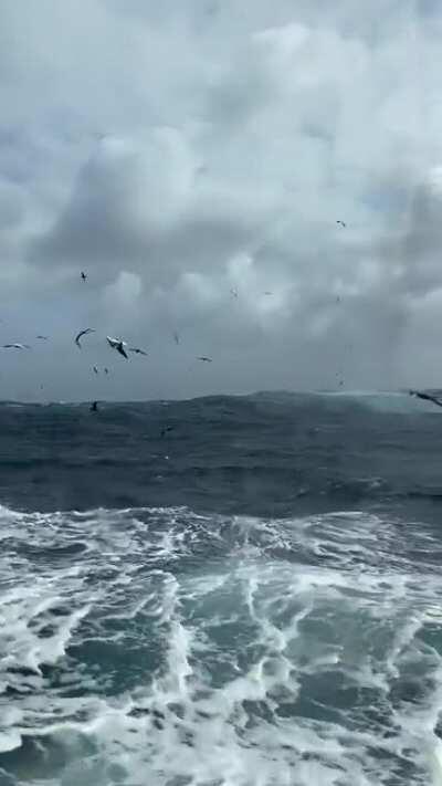 My bedroom window view for 51 days