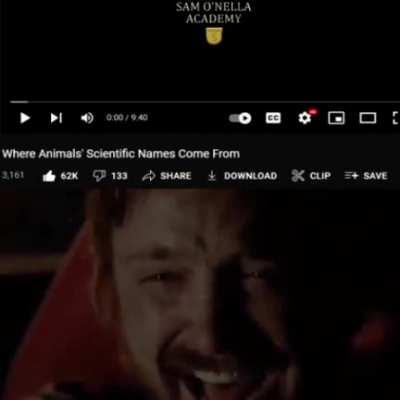 Literally everyone rn