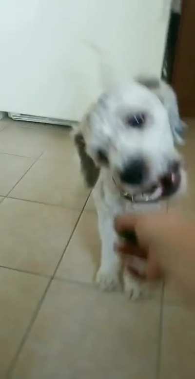 Trying some lime turns into a robbery.