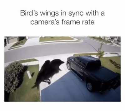 What Happens When The Wing Servos Aren't being Powered Correctly