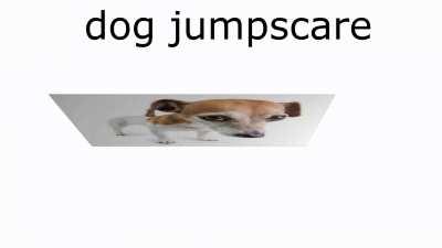 Dog jumpscare