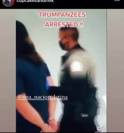 Trumpanzee arrested at the airport after landing lol