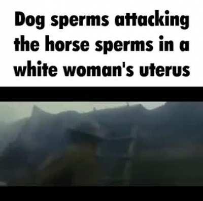 guys we're posting too much porn, we need more memes to balance it