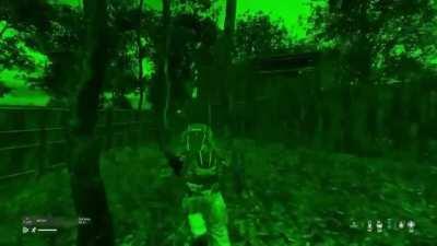 Bear raided my base lol