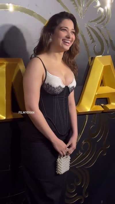 Tamannaah Bhatia at the success party of Animal.