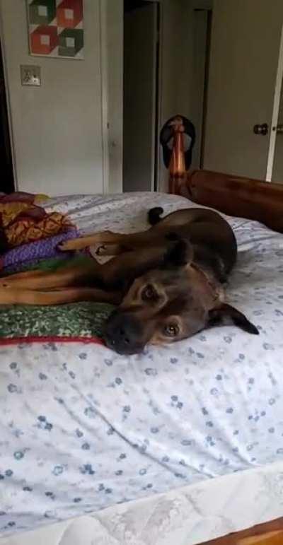 At least someone is having fun