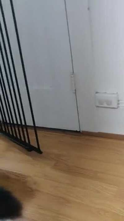 Archer hates the sound of plastic