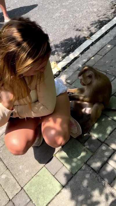 monkey: 'let me taste you'