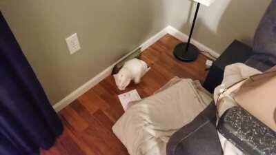 White's kinda sus tbh