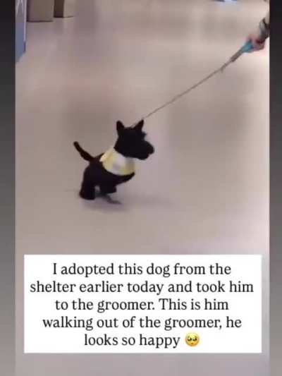 Awww :)
