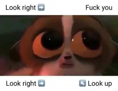 Gonna cry? Gonna pee your pants? Gonna [REDACTED] !?