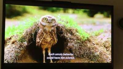 Thought you guys might like this