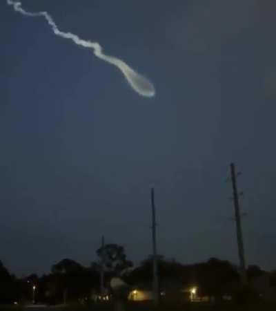 Espermatozóide voador 