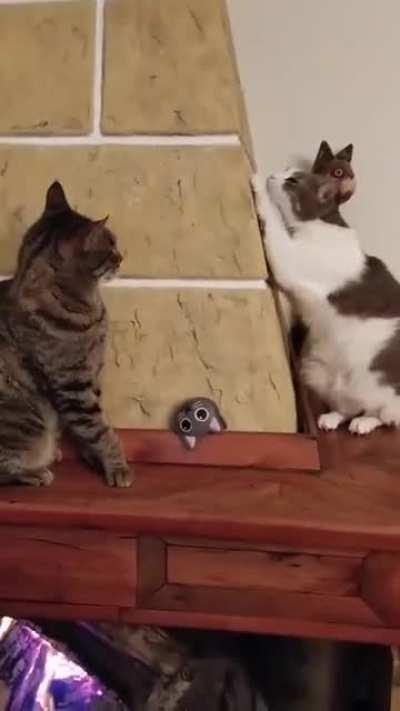 Mission failed, we’ll get em next time