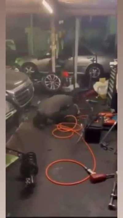 Use tools the proper way. And protect yourself at all times.