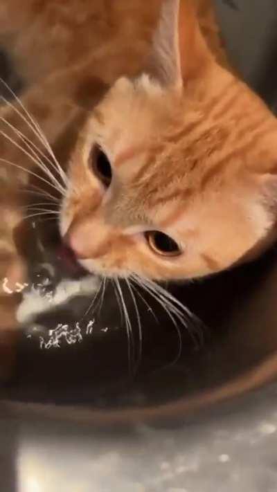 Dude is real thirsty today