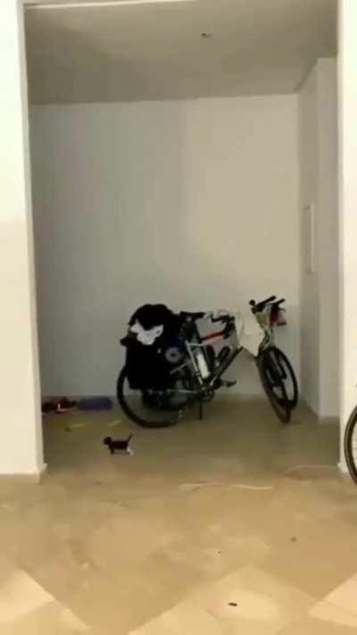 wait for me i got little legs