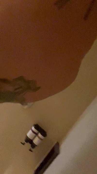 Mommies very horny right now 49f…..