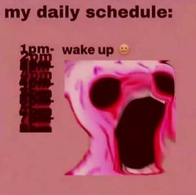 My daily schedule