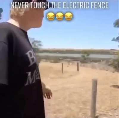 Electric fence