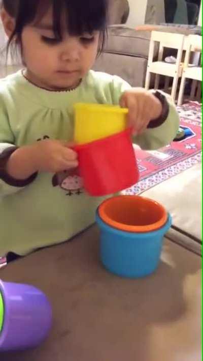 Sorting algorithm seen on ProgrammerHumor