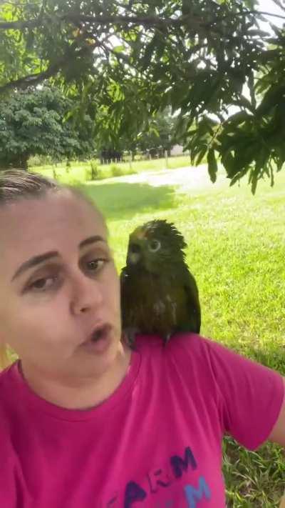 You can't blame me for the broken cables. - Credit u/youuczarname