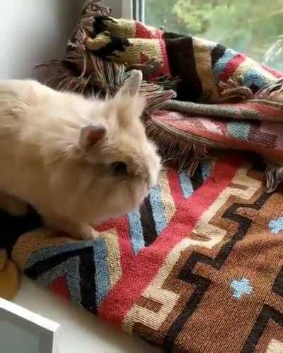 “The hecc is that??”